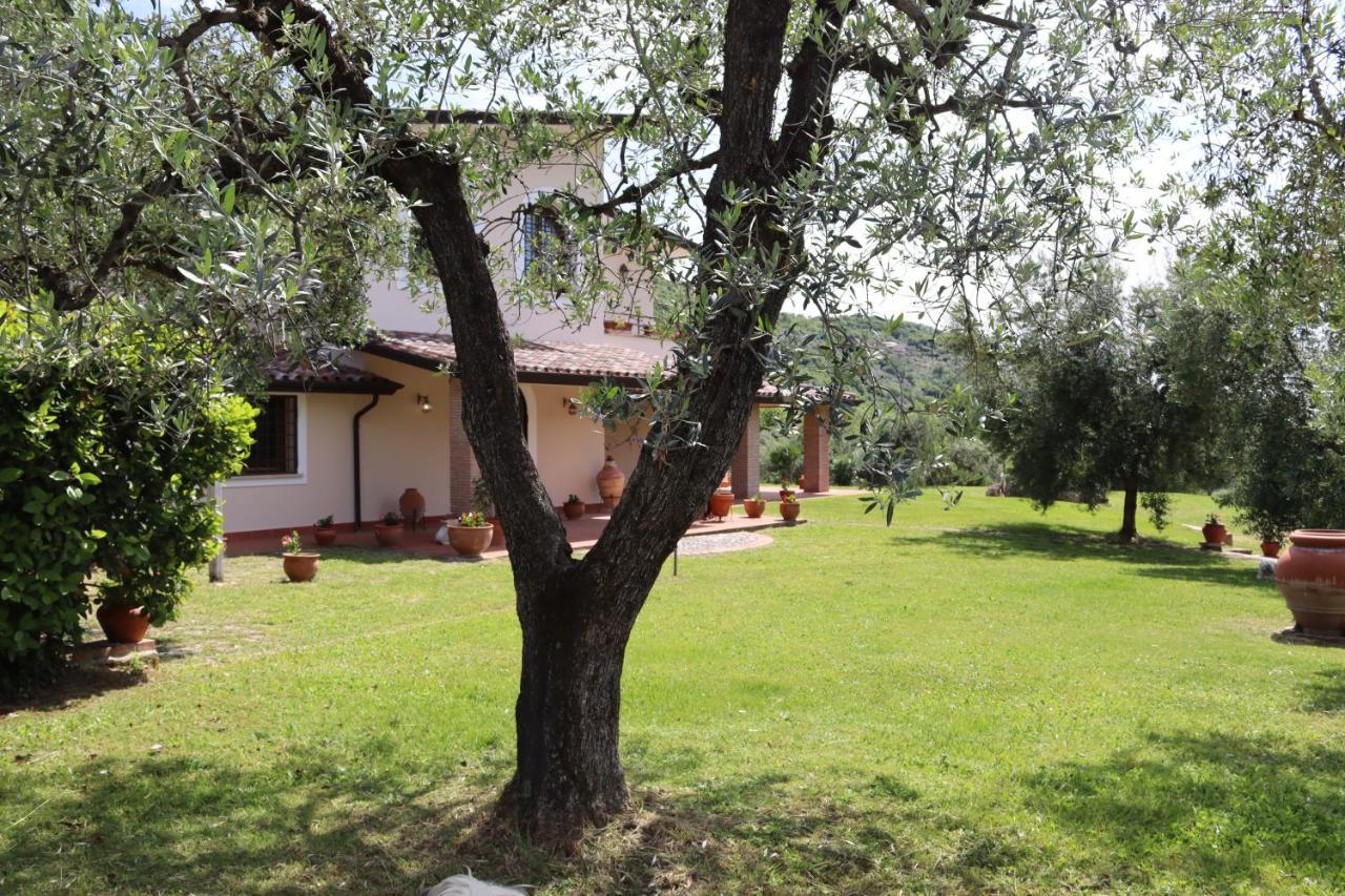 Agriturismo Il Bagolaro Nerola Zewnętrze zdjęcie